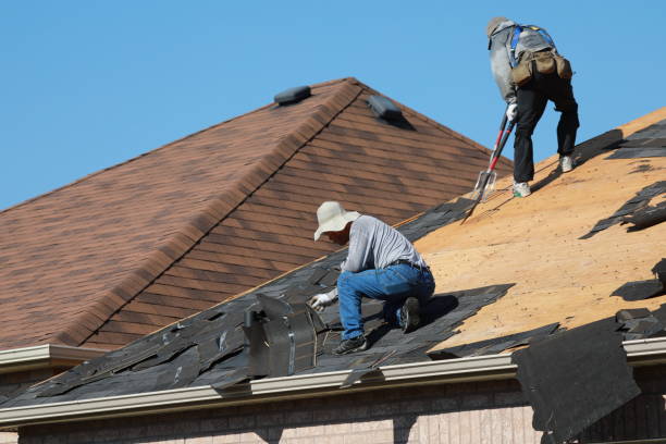 Best Roof Insulation Installation  in Stanley, VA
