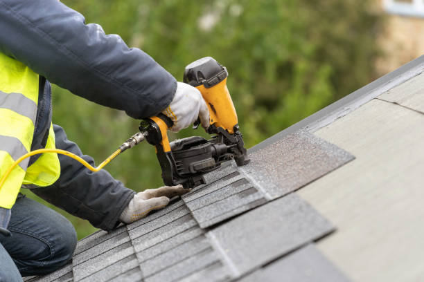 Best Skylight Installation and Repair  in Stanley, VA