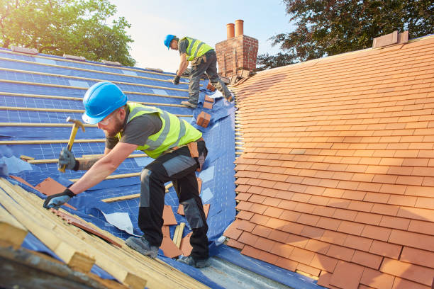 Best Sheet Metal Roofing  in Stanley, VA